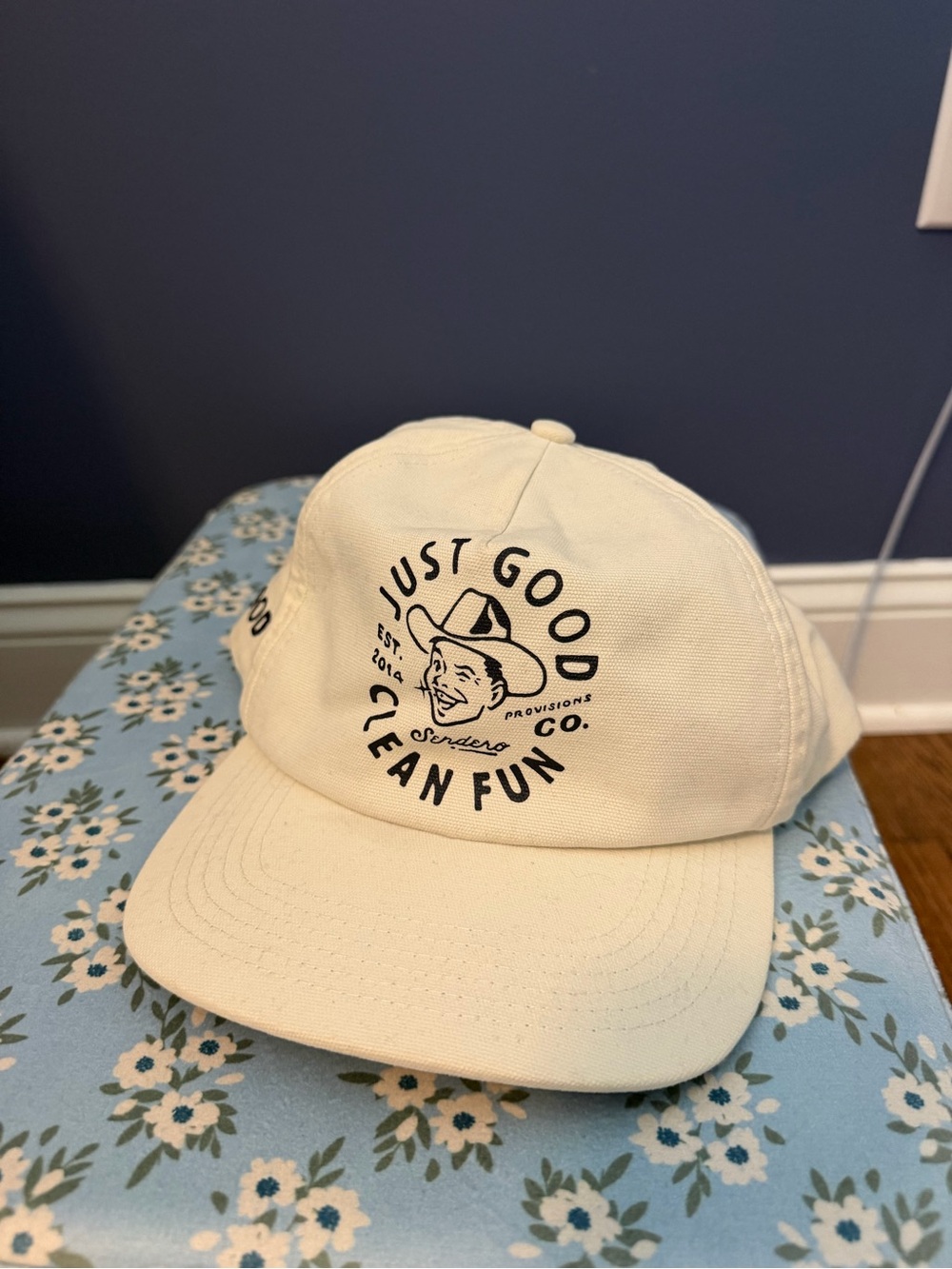 Just Good Clean Fun Adult Cap